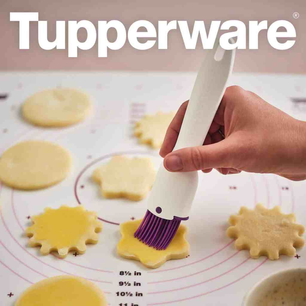 Tupperware Silikon-Pinsel